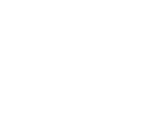 P-white-logo